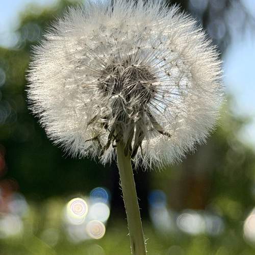 Photo #13623418