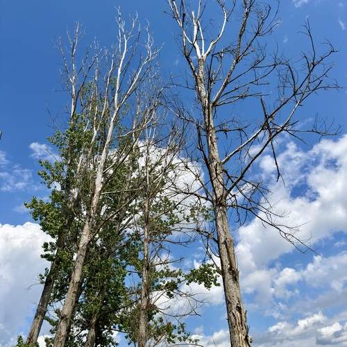 Photo #13623423