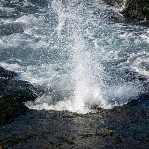 Photo #13623505