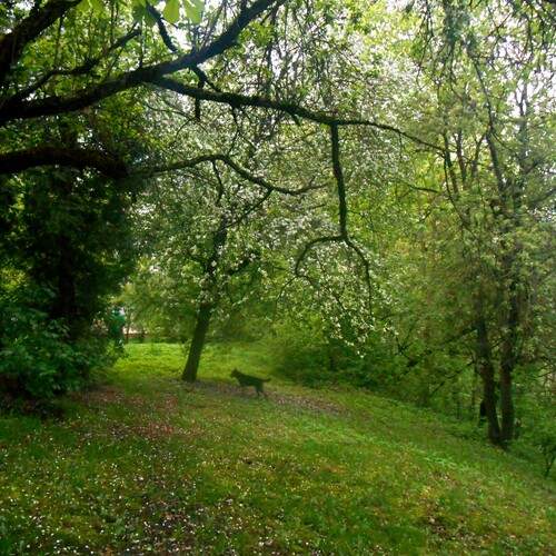 Photo #13623542