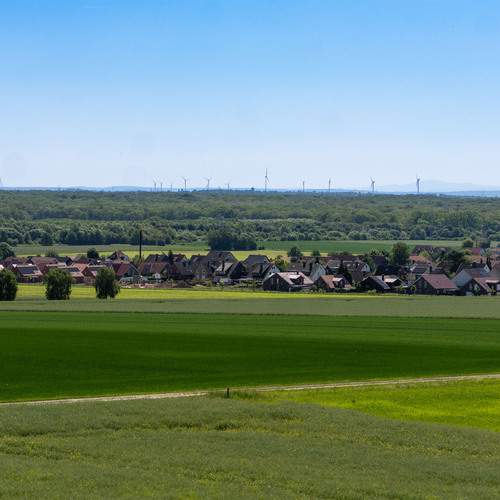 Photo #13623613