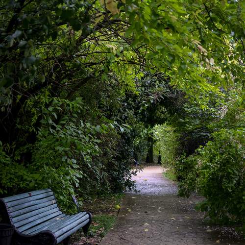 Photo #13623656