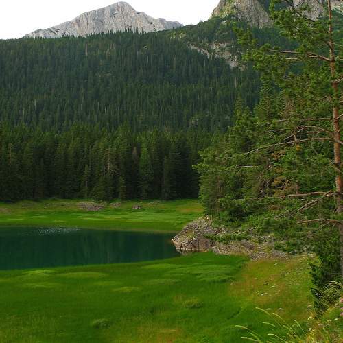 Photo #13623733