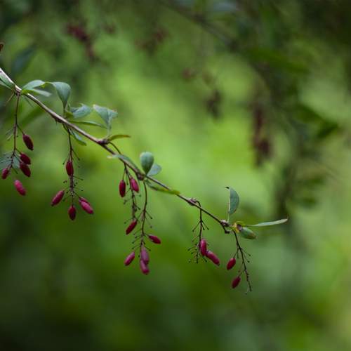 Photo #13623753
