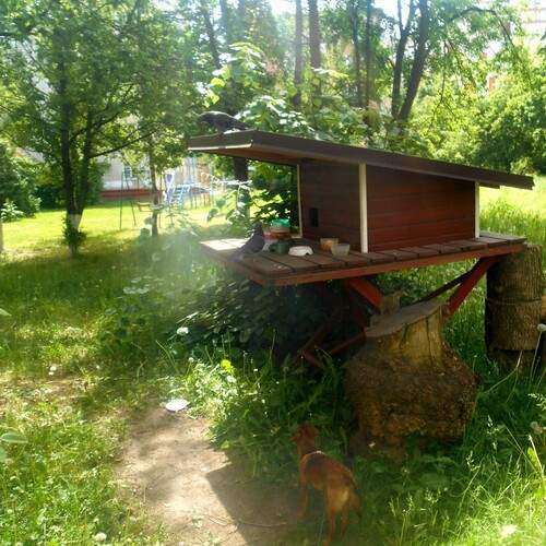 Photo #13623758