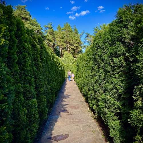 Photo #13623772