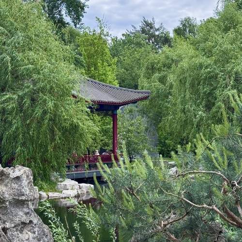 Photo #13623773