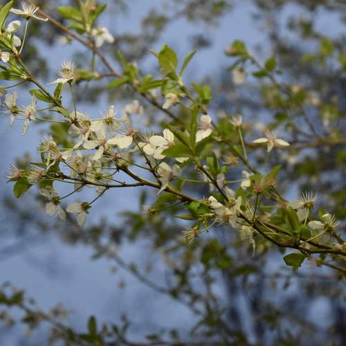 Photo #13623918