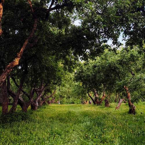Photo #13623940
