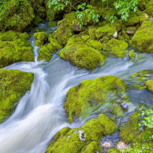 Photo #13623947