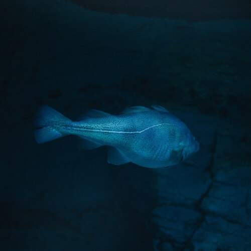 Photo #13623971