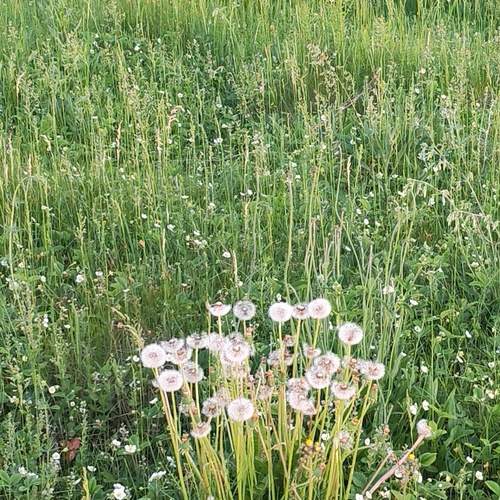 Photo #13624051