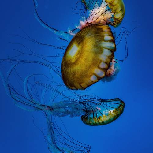 Photo #13624052