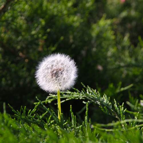 Photo #13624068