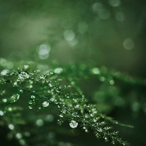 Photo #13624086