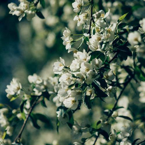 Photo #13624143