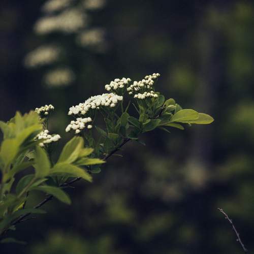 Photo #13624144