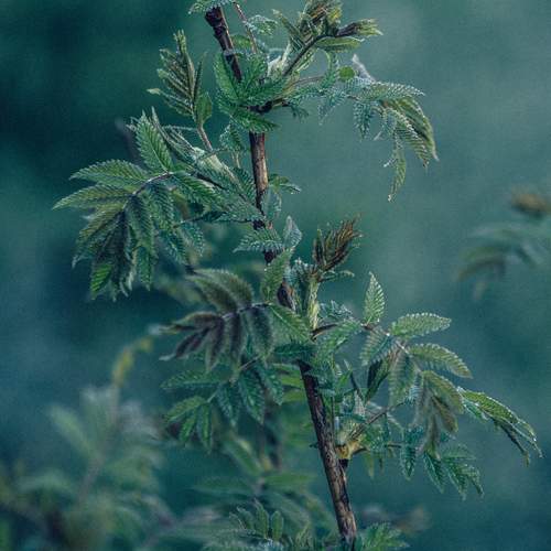 Photo #13624145