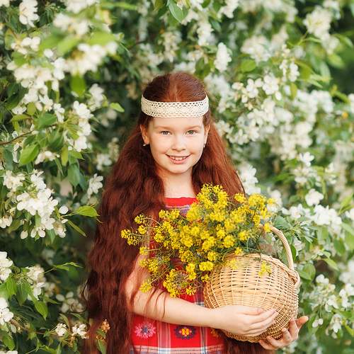 Photo #13624294