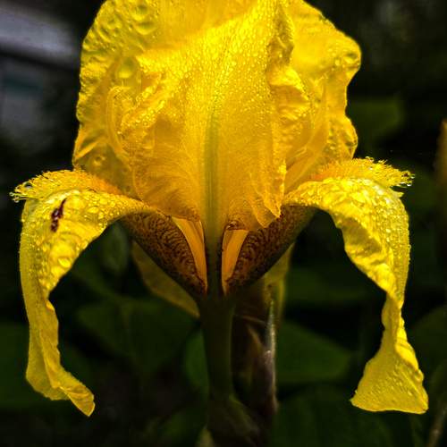 Photo #13624322