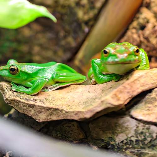Photo #13624874