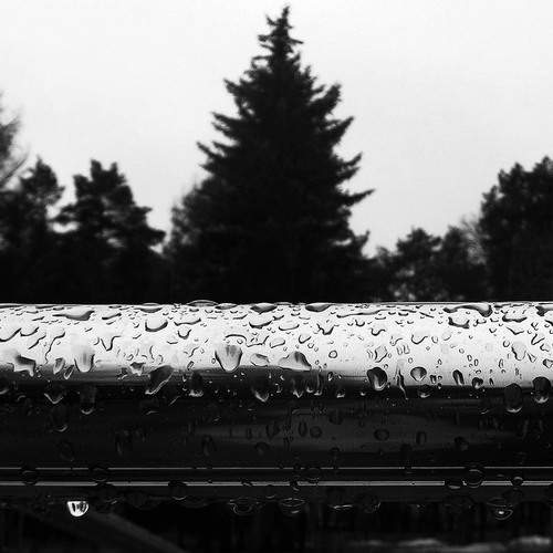 Photo #13625116