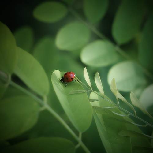 Photo #13625124