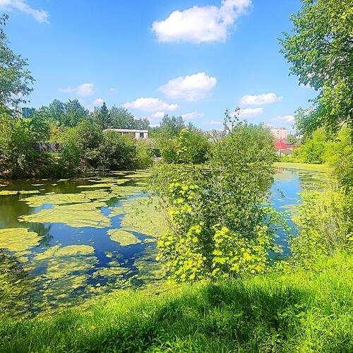 Photo #13625160