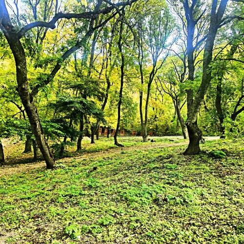 Photo #13625168