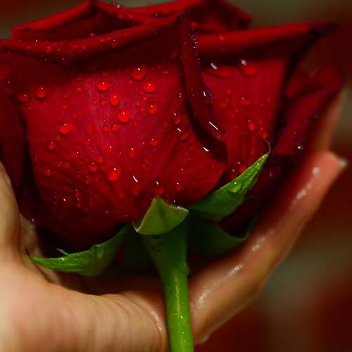 Photo #13625180