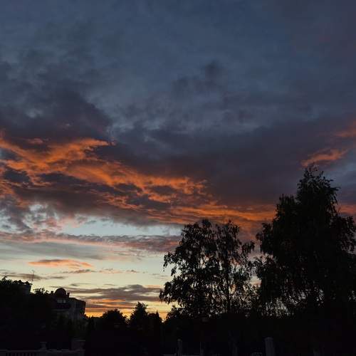 Photo #13625498