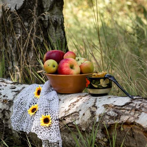 Photo #13625501