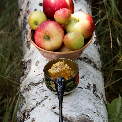 Photo #13625502