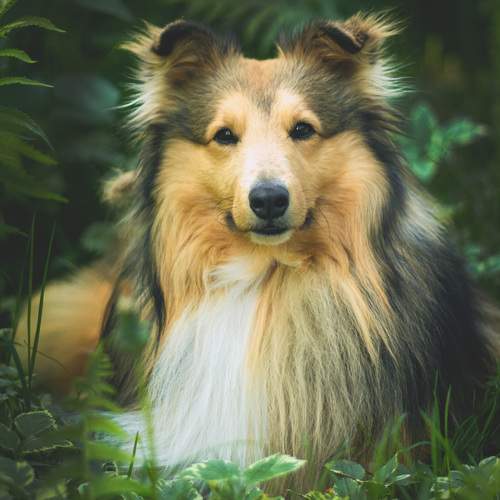 Photo #13625627