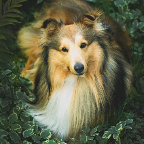 Photo #13625629