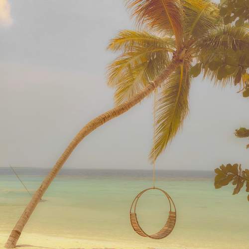 Photo #13625635