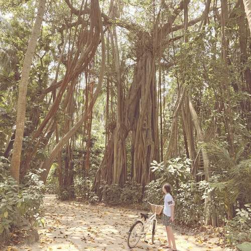 Photo #13625636