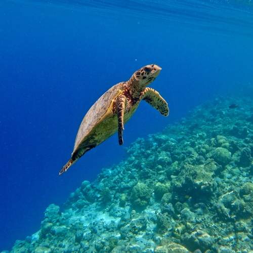 Photo #13625664