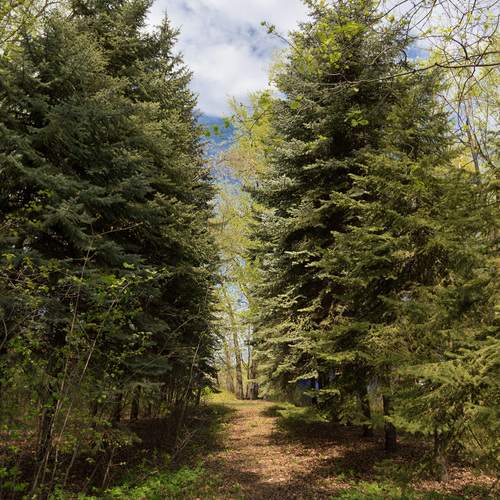 Photo #13625773