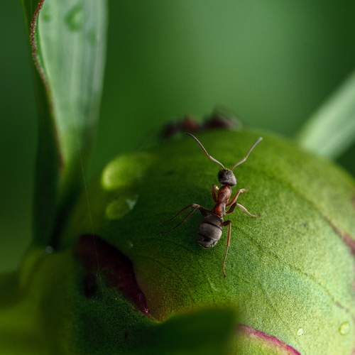Photo #13625851