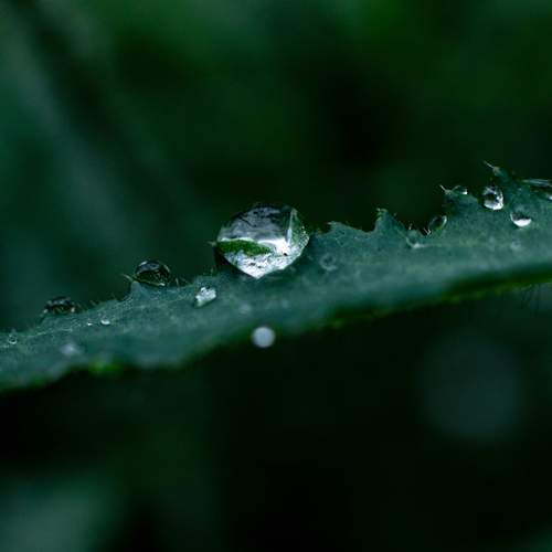 Photo #13625852