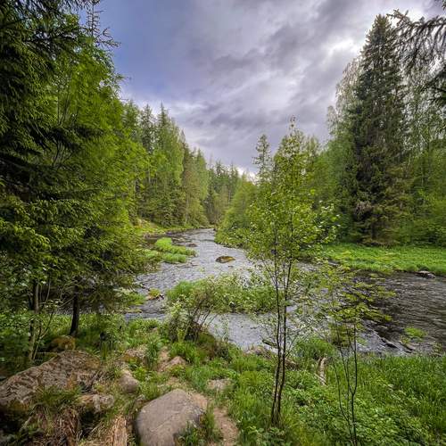 Photo #13625854