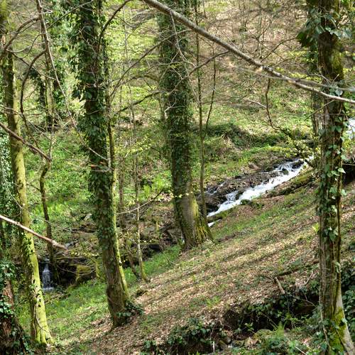 Photo #13625883