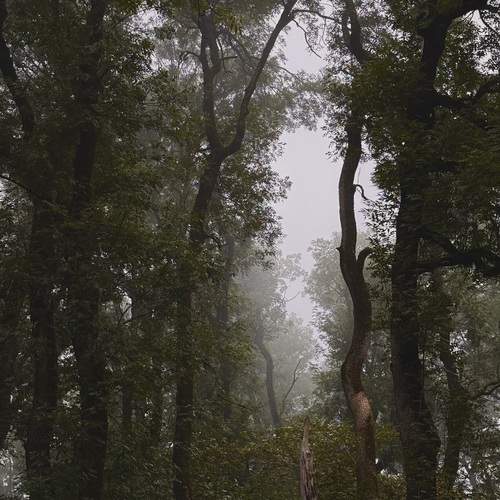 Photo #13625952