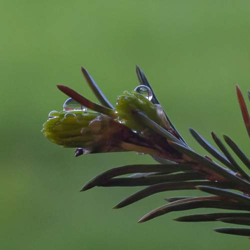 Photo #13625980
