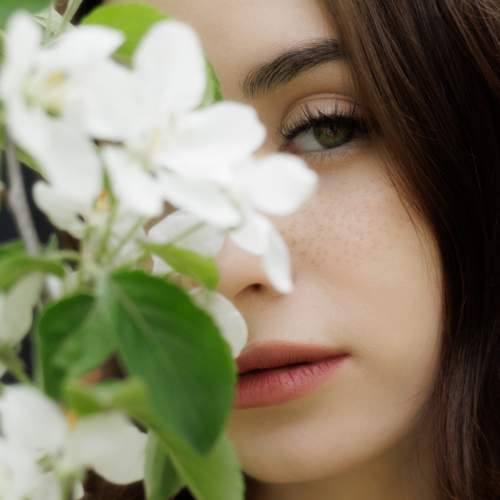 Photo #13626011