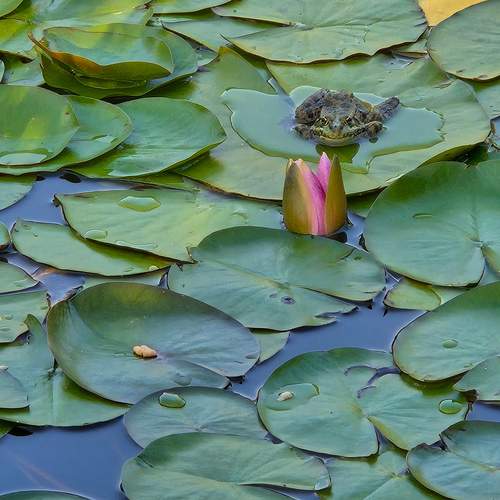 Photo #13626026