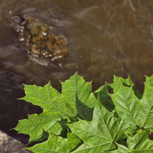 Photo #13626027