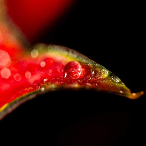 Photo #13626175