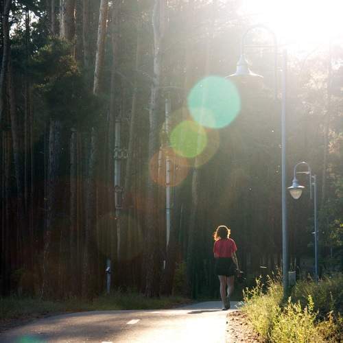 Photo #13626219